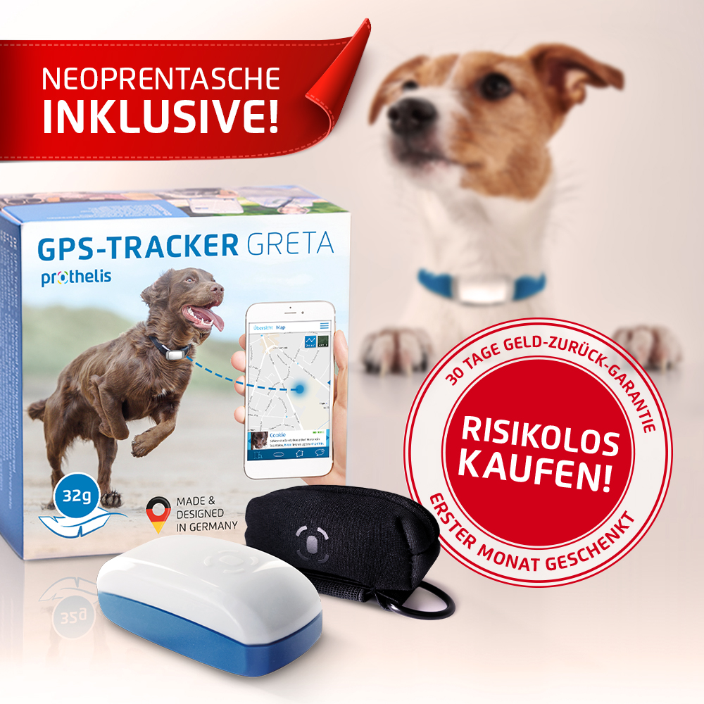 Greta Gps Tracker Fur Hunde Neoprentasche Laufzeit Nur Gerat Set Greta Neoprentasche