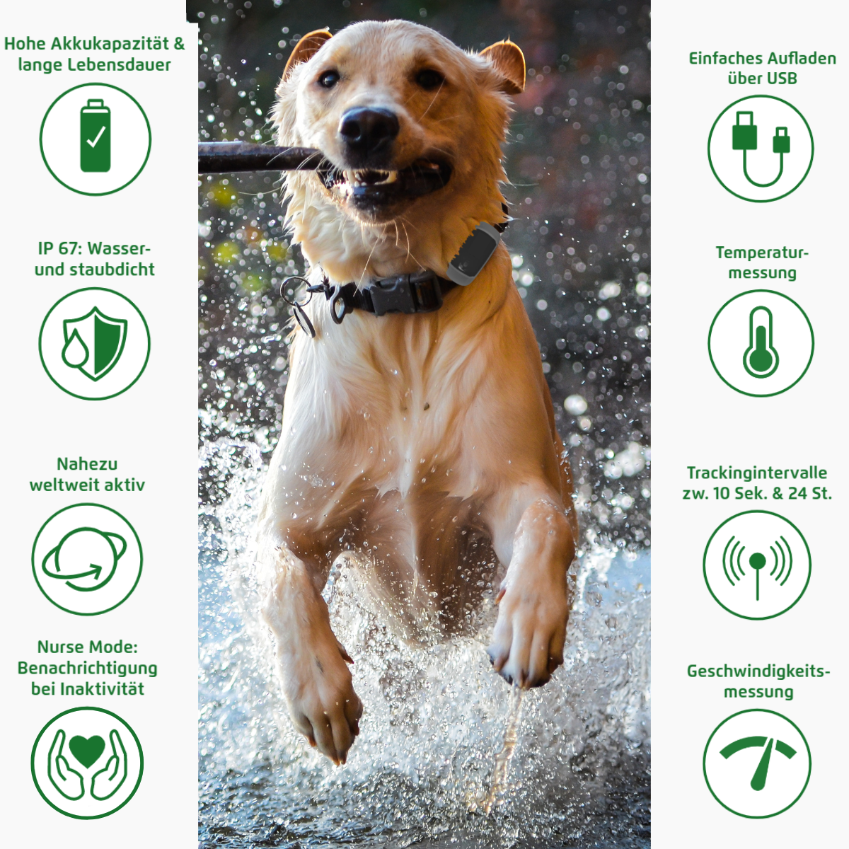 area Pets - GPS-Tracker für Tiere inkl. Trackertasche "Premium braun" 