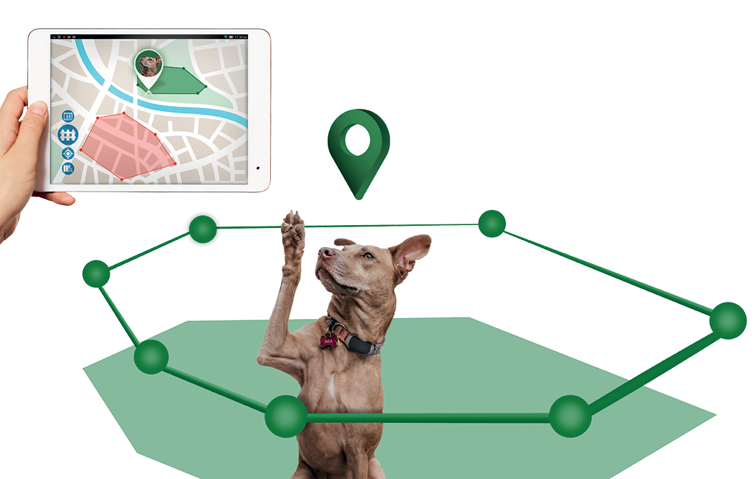 area Pets - GPS-Tracker für Tiere inkl. Trackertasche "Premium braun" 