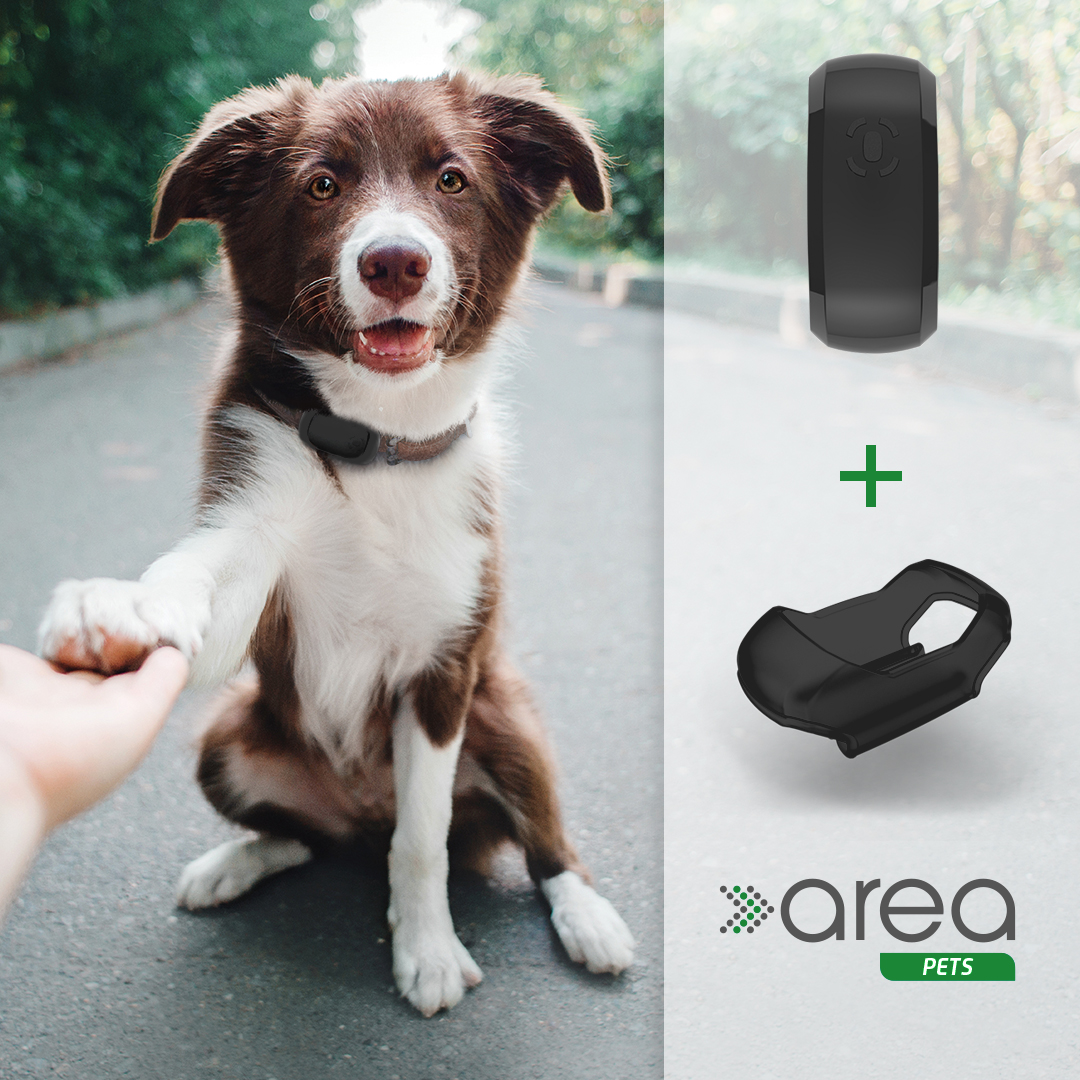 area Pets - GPS-Tracker für Tiere